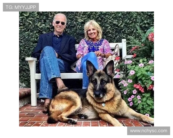 张伯霖分享摇篮舞庆祝喜讯家中爱犬迎来两只可爱小狗出生